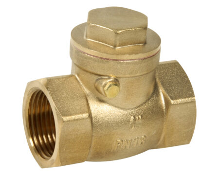 Brass Check Valve Swing/ Flap Type