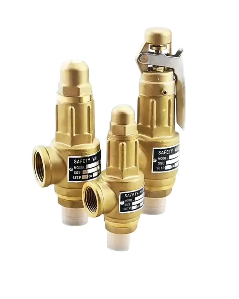 Bronze Safety Valve