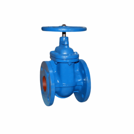 Cast Iron Gate & Globe Valve Flange Type